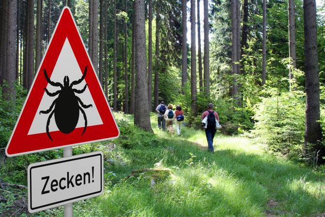 Haarausfall durch Borreliose - ein bekanntes Phänomen?