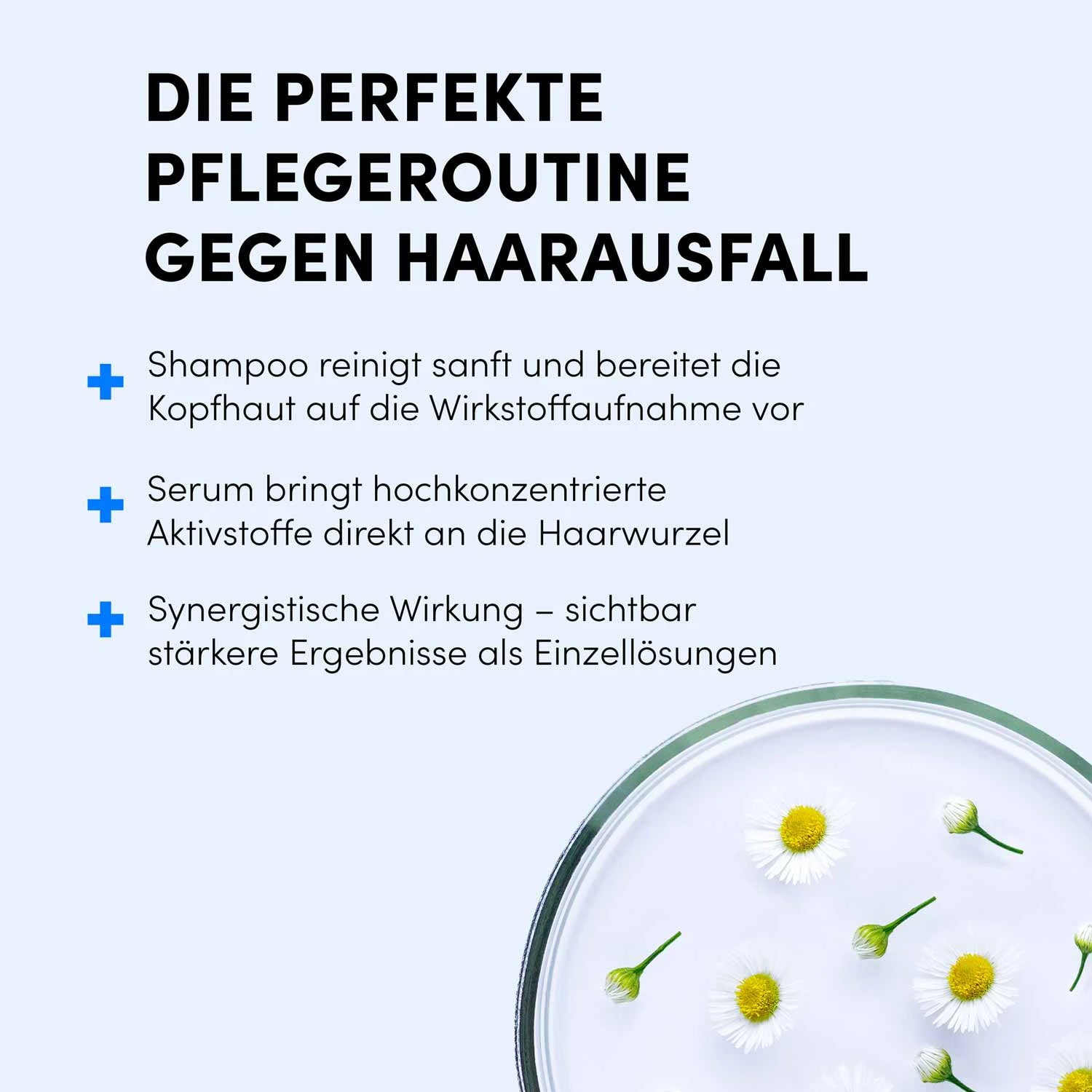 Eine Grafik mit dem Titel „Die perfekte Pflegeroutine gegen Haarausfall“ zeigt drei Schritte der Haarpflege mit dem Shampoo & Spray Set von shop.elithairtransplant neben einer Schale mit Gänseblümchen auf hellblauem Grund, wobei blaue Plus-Symbole jeden Schritt hervorheben.