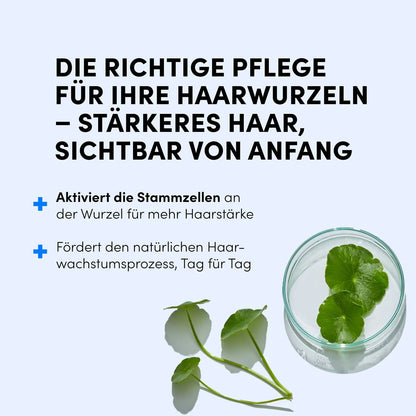 Ein Glas mit Wasser und grünen Blättern neben dem Dr. Balwi Hair Boost Set von shop.elithairtransplant, kombiniert mit deutschem Text zu Haarwurzelpflege und Haarwachstum mit Procapil™ auf hellblauem Hintergrund.