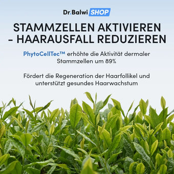 Grüne Blätter mit blauem Himmel im Hintergrund. Der Text oben wirbt für das Hair Boost Set von Dr. Balwi Shop, das angeblich die Stammzellen aktiviert und die Haardichte und das Haarwachstum für gesünderes, volleres Haar steigert, indem es die Stammzellenaktivität um 89 % erhöht.