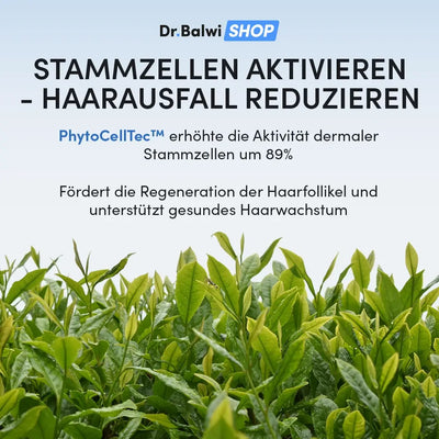 Grüne Blätter mit blauem Himmel im Hintergrund. Der Text oben wirbt für das Hair Boost Set von Dr. Balwi Shop, das angeblich die Stammzellen aktiviert und die Haardichte und das Haarwachstum für gesünderes, volleres Haar steigert, indem es die Stammzellenaktivität um 89 % erhöht.