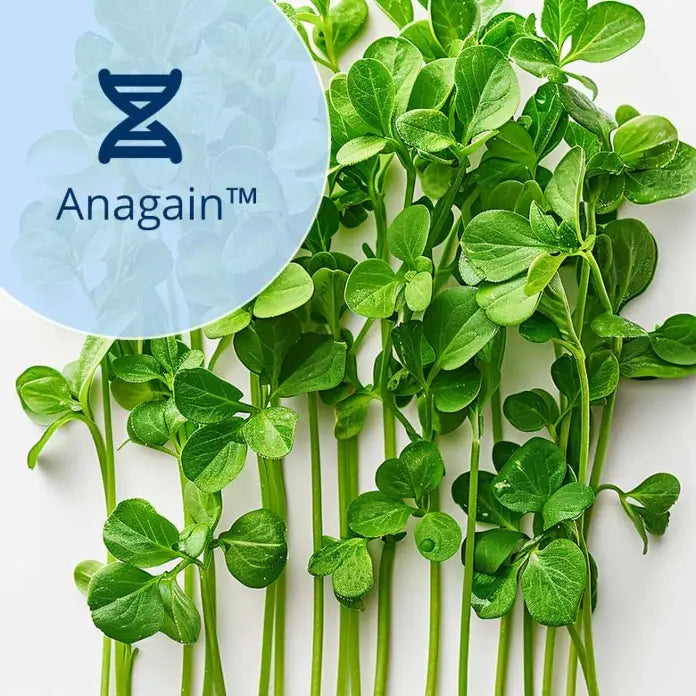 Wie wir Haarausfall bekämpfen